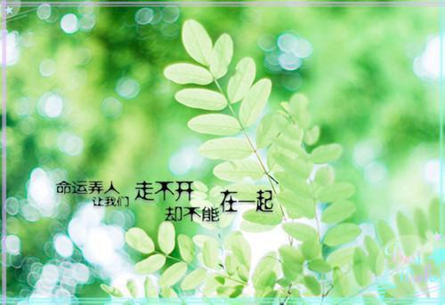 描写梅花励志的诗句