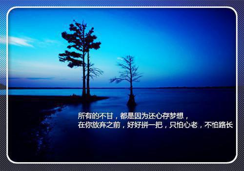 优美伤感的爱情散文作品