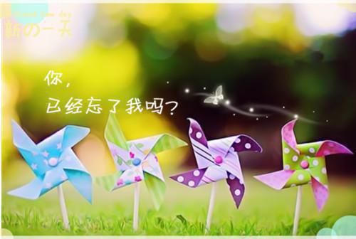 爱情的句子心跳