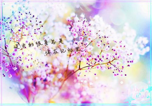 非主流爱情故事带图