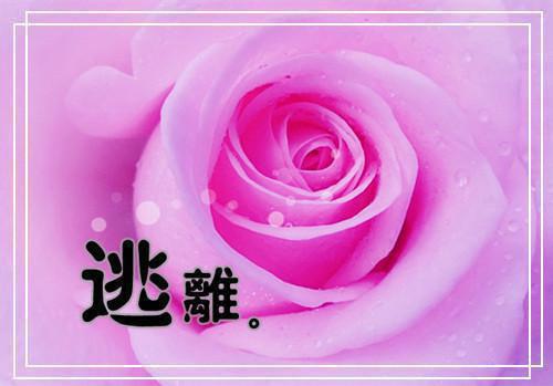 经典人生励志格言 大学生励志座右铭