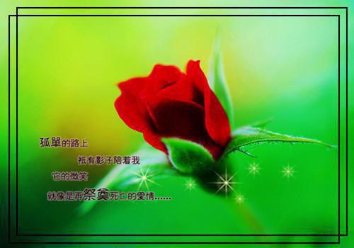 有关人生哲理作文集合7篇