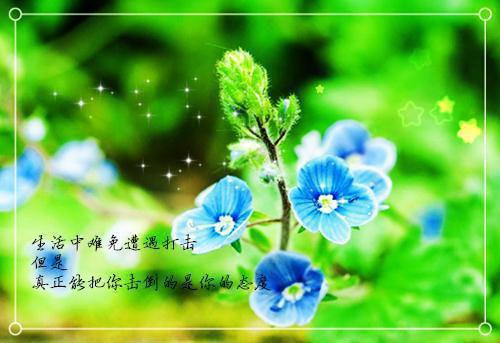 七夕节情书表白（精选6篇）