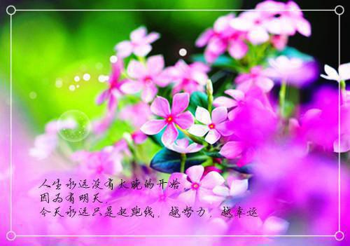 关于感谢师恩的名人名言