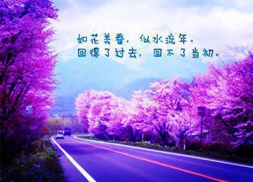 实用的小学日记四篇