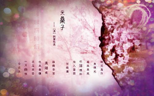 《安全教育》观后感15篇