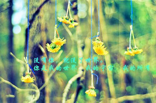 【实用】爸爸的爱作文四篇