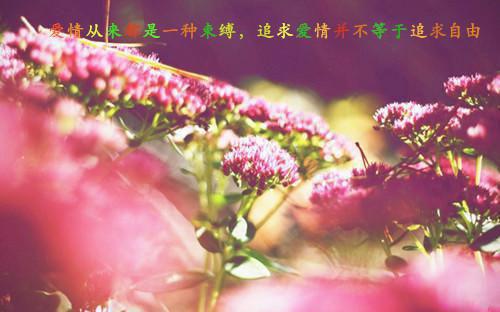 诚实守信的名言警句有哪些