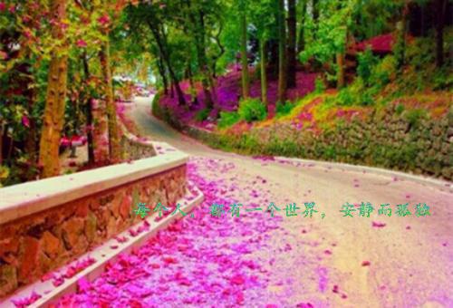 一句话经典语录倾我一生，换岁月静好