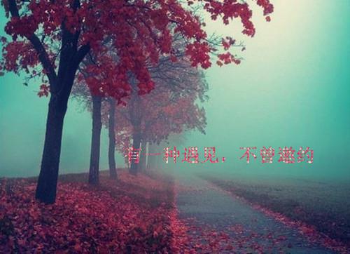 团队合作的名言