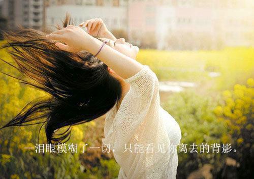 動(dòng)物故事大全童話故事