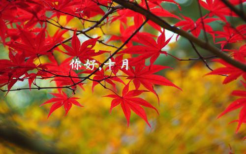 贴福的故事