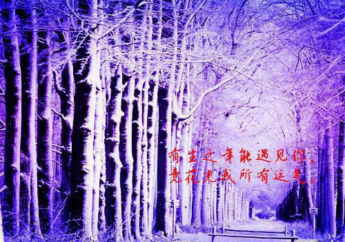 值得分享的成功哲理名言
