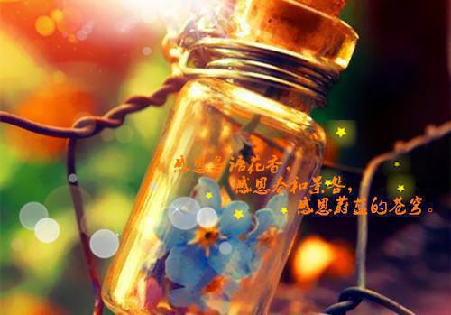 情花自圆