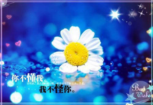 爱情格言诗