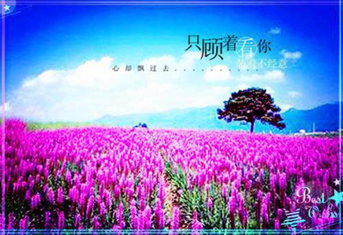 伤感凄凉的爱情小故事