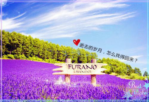 日记作文400字6篇