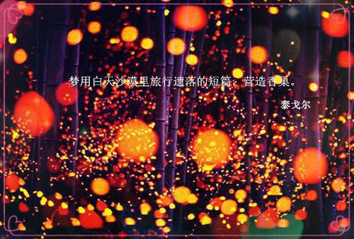 有关爱的经典名言句子