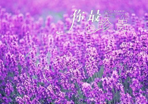 思念牵挂一个人的唯美句子
