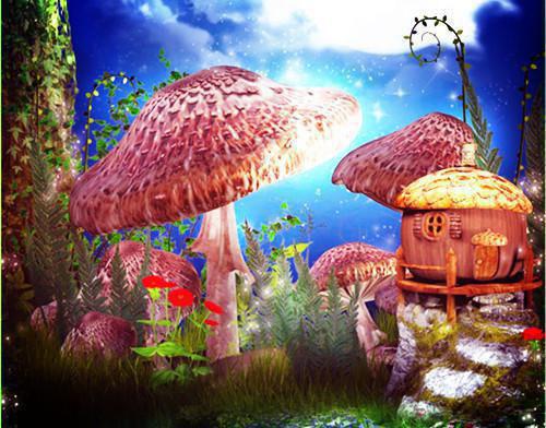 雨中爱情故事