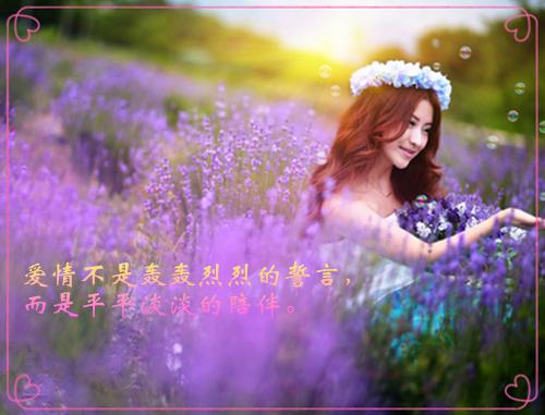 美国丽人经典台词