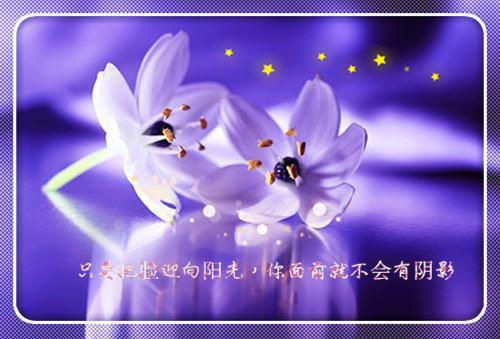 有关小学日记模板集锦四篇