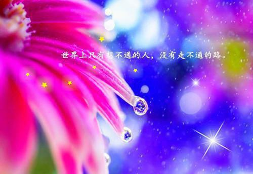 哲理谚语摘抄