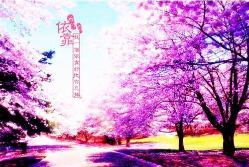 关于四年级的成语故事