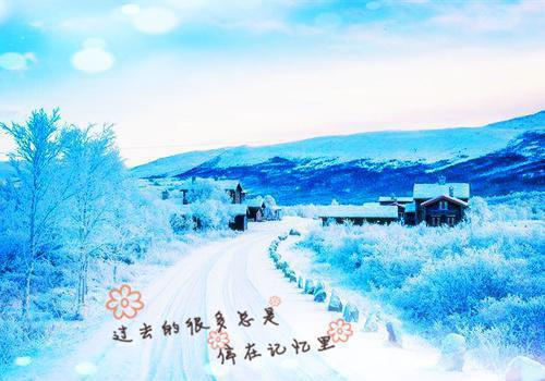 动物童话故事500字