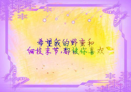 不会再相信爱情的散文精选