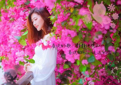 人生感悟哲理的句子