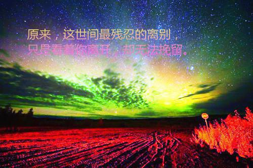 最浪漫的求婚表白（精选5篇）