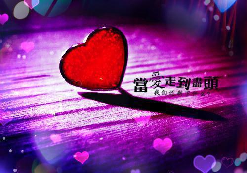 关于荷花的精美随笔散文在线阅读