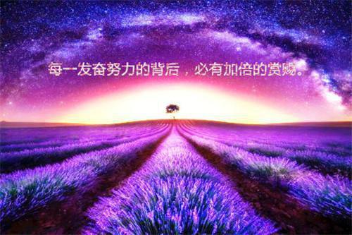维特根斯坦名言