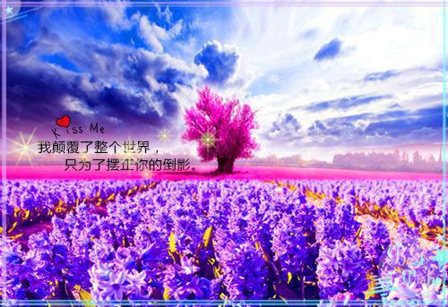 个性情侣网名