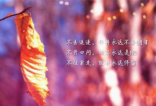 表达幸福快乐的句子阳光心情语录