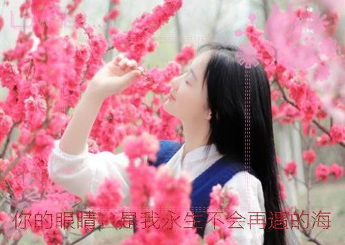 红领巾相约中国梦格言