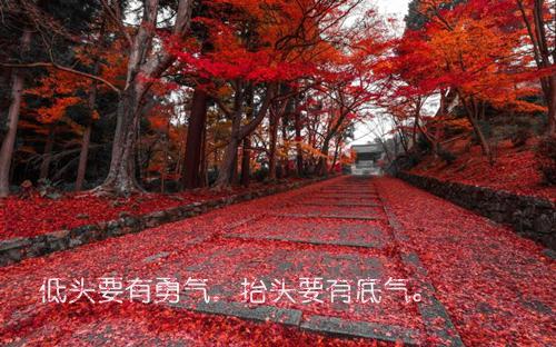 影评作文400字4篇