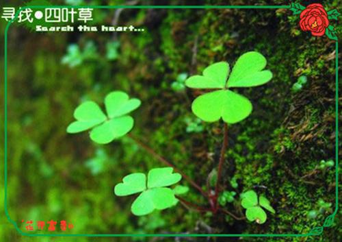 七夕祝福2020