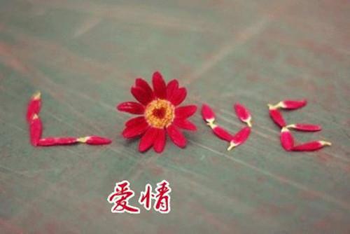 以曾经为题的现代诗歌