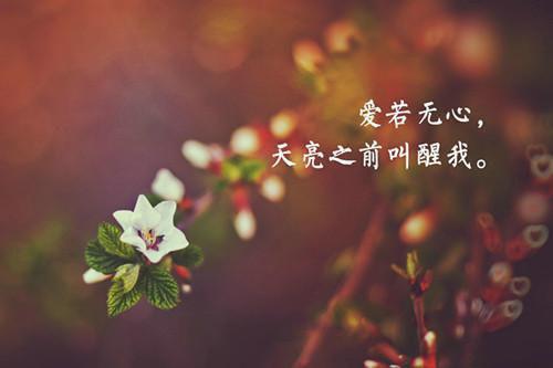 小学生开学日记