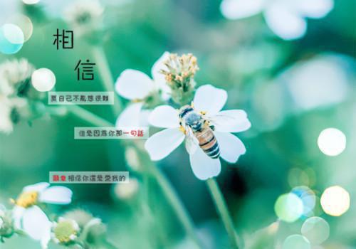 《开学第一课》观后感【推荐】