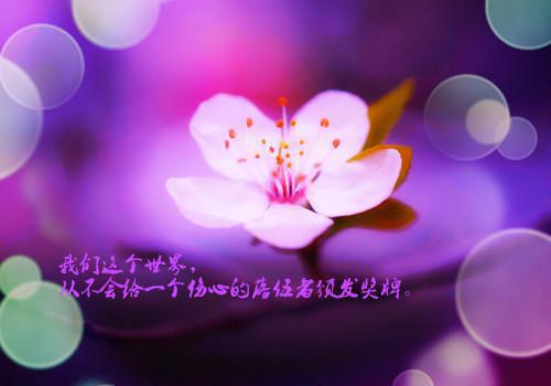 妈妈，我想对您说日记8篇