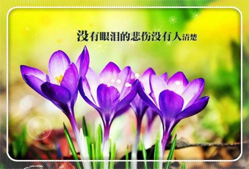 送恋人的生日祝福语