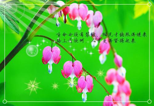 精选游后感作文10篇