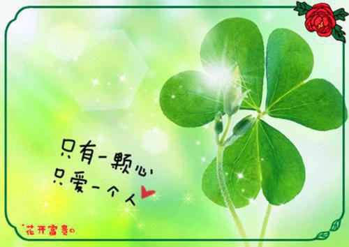 毛主席经典名言