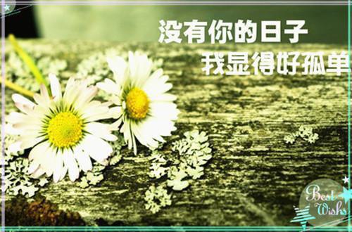2022年奋斗励志的句子集锦45条