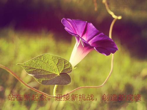 快乐的新年日记200字