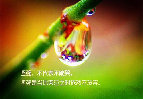 高三学生期末评语