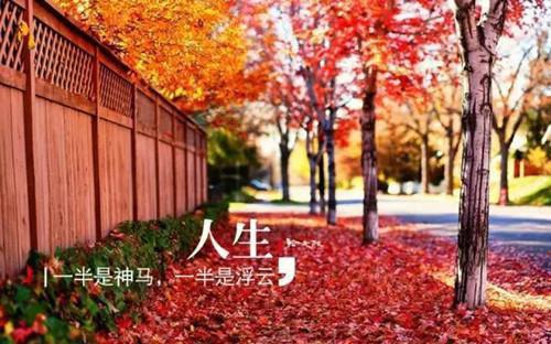 缤纷夏日日记